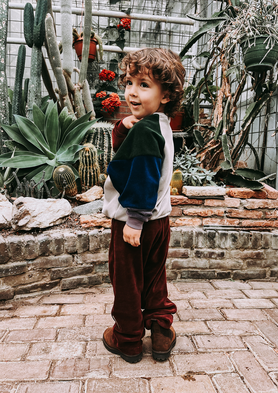 Kind Rebel Basic - Bordeaux Velvet Jogger - Kind Rebel