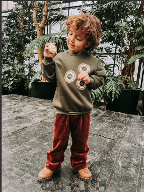 Kind Rebel Basic - Bordeaux Velvet Jogger - Kind Rebel